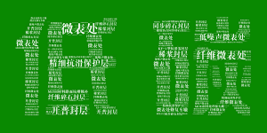 完美官方网站-完美wanmei（中国）
邀您共享低碳“盛宴”